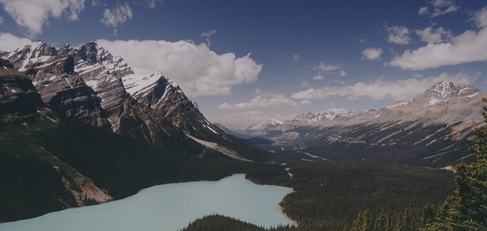 "Peyto Lake, Canadian Rockies"